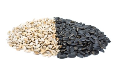 Sunflower seeds (premium, 5t, 20 F)