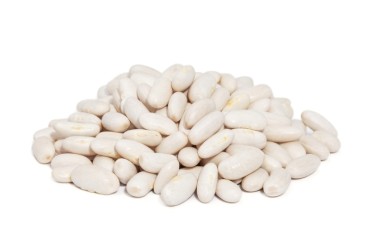 White Bean (5t, premium, 20 F)